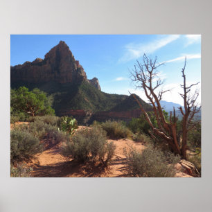 Affiche Parc national de Zion