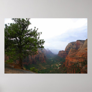 Affiche parc national de zion