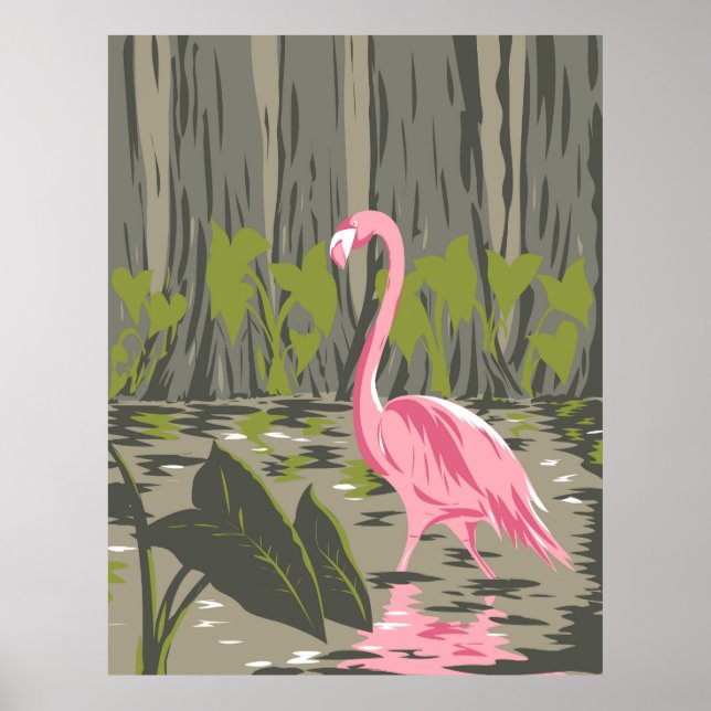 Affiche Parc national des Everglades (Devant)