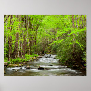 Affiche Parc national des Great Smoky Mountains Caroline d