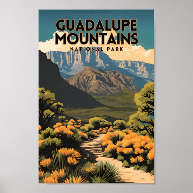 Affiche Parc national des Monts Guadalupe Retro Voyage (Devant)