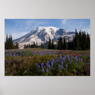 Affiche Parc national du mont Rainier, Mont Rainier 3