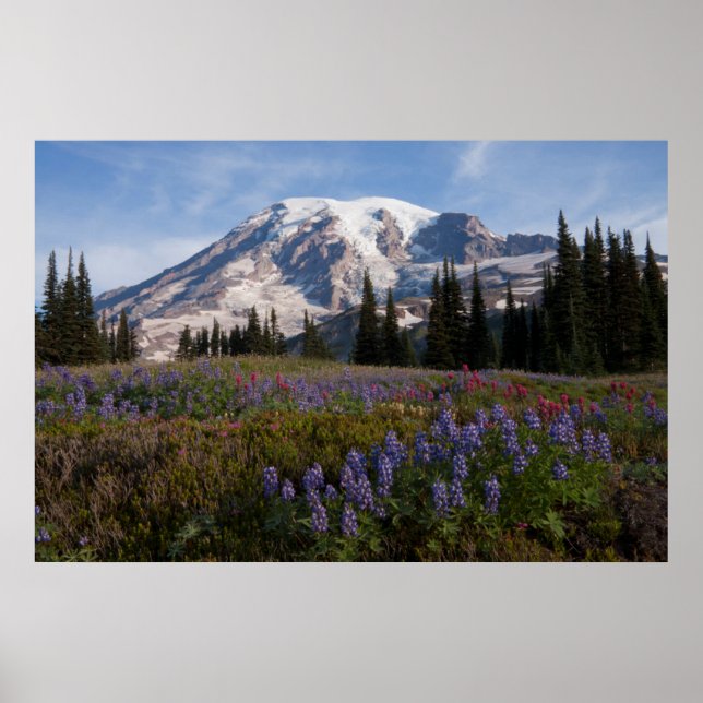 Affiche Parc national du mont Rainier, Mont Rainier 3 (Devant)