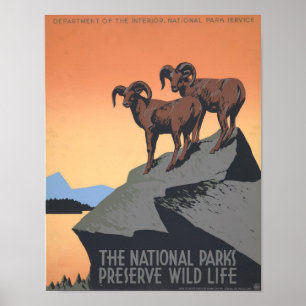 Affiche Parc National Non-Identifié Photos Vintages Vieux 