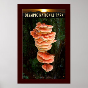 Affiche PARC NATUREL OLMPIQUE-Poulet des Bois-