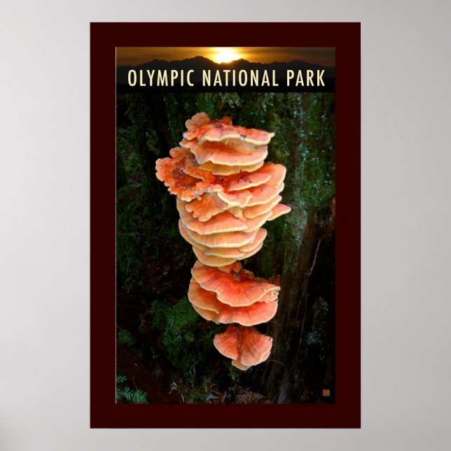 Affiche PARC NATUREL OLMPIQUE-Poulet des Bois- (Devant)