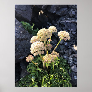 Affiche Parc Rock State de Sisters