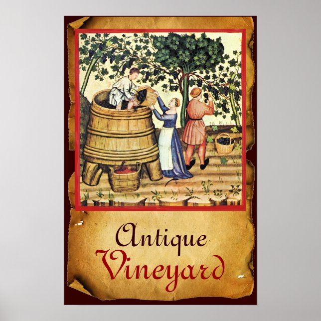 AFFICHE PARCHEMENT DE RÉCOLTE DE VIGNOBLES ANCIENS (Devant)