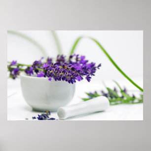 Affiche Parfum de Lavendel