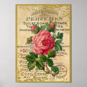 Affiche Parfum de roses antiques