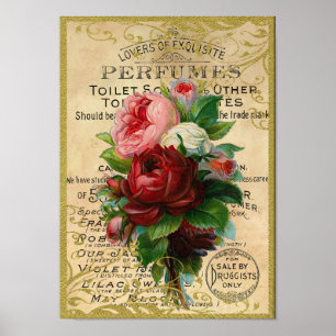 Affiche Parfum Rose antique