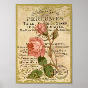Affiche Parfum Rose antique