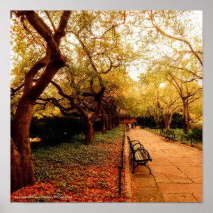 Affiche Park, NYC Central Park,