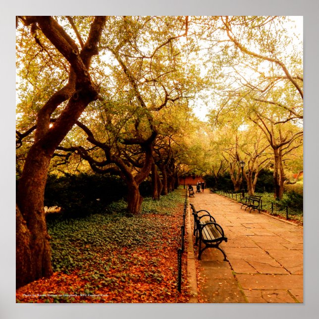 Affiche Park, NYC Central Park, (Devant)