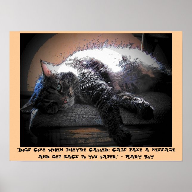 Affiche Parlez-vous plus tard avec Mary Bly (Devant)