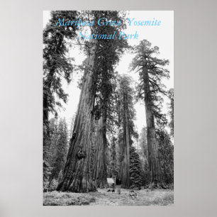 Affiche Parmi l'affiche de Giants