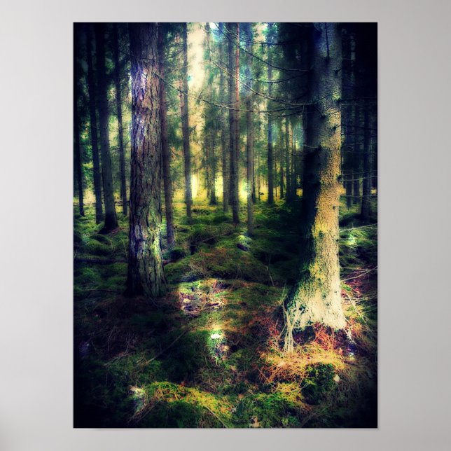 Affiche Parmi Les Fées (Devant)