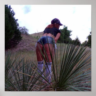 Affiche Parmi Les Plantes du Yucca