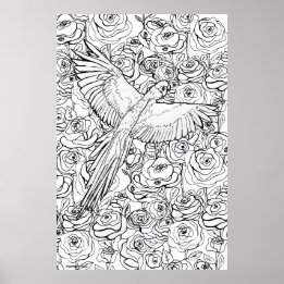 Affiche Parrot Clarity