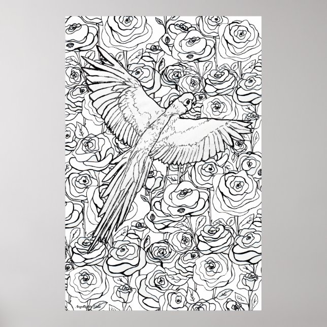 Affiche Parrot Clarity (Devant)