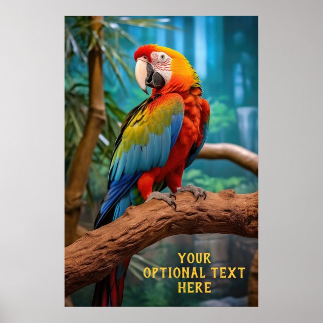Affiche Parrot coloré texte facultatif (Devant)
