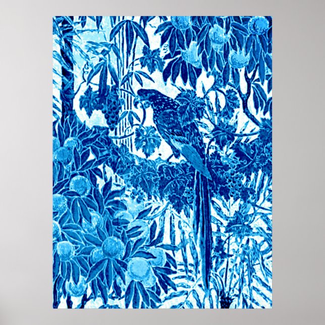 Affiche Parrot dans un cadre de jungle, Indigo bleu et bla (Devant)