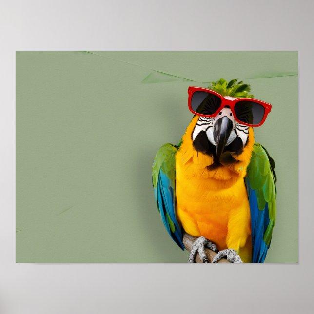 Affiche Parrot élégant en Lunettes de soleil rouges (Devant)
