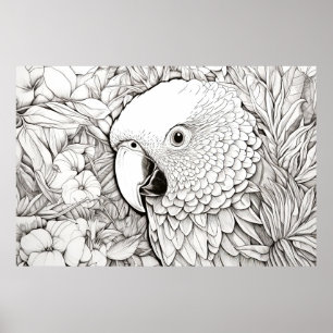Affiche Parrot Nature paisible Prairie Croquis dessin Art
