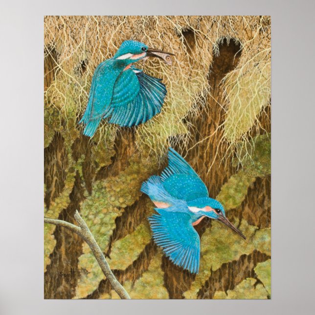 Affiche Partager les soins 2011 (Devant)