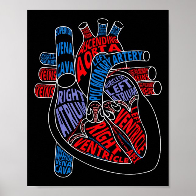 Affiche Parts Of Heart Anatomical Heart Gift For Cardiolog (Devant)
