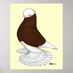 Affiche Paruline : Balde rouge bouffée