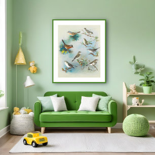 Affiche Paruline et Wrens,