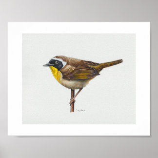Affiche Paruline jaune ordinaire Imprimer