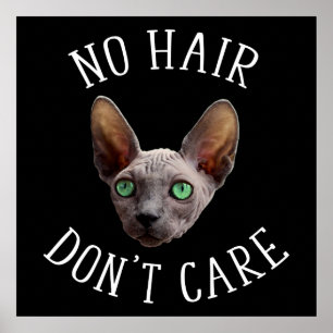 Affiche Pas de cheveux s'en fiche Funny Sphynx Chat