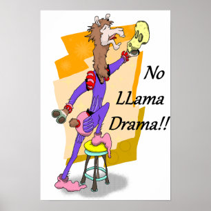 Affiche Pas de drame de lama ! ! 4