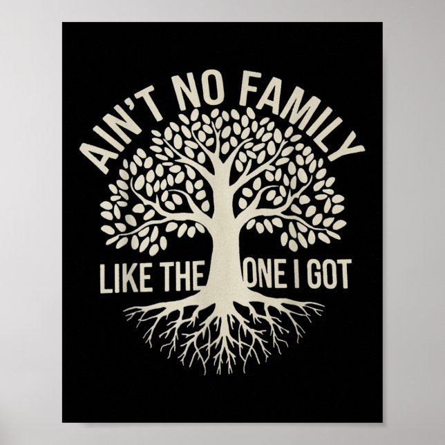 Affiche Pas De Famille Comme Celle Que J'Ai Obtenu Drôle F (Devant)
