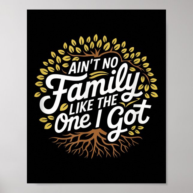 Affiche Pas De Famille Comme Celle Que J'Ai Obtenu Drôle F (Devant)
