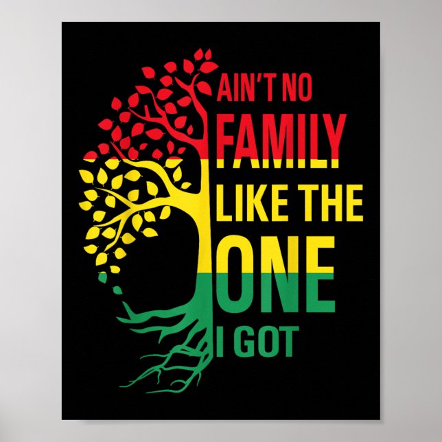 Affiche Pas De Famille Comme Celle Que J'Ai Obtenu Drôle F (Devant)