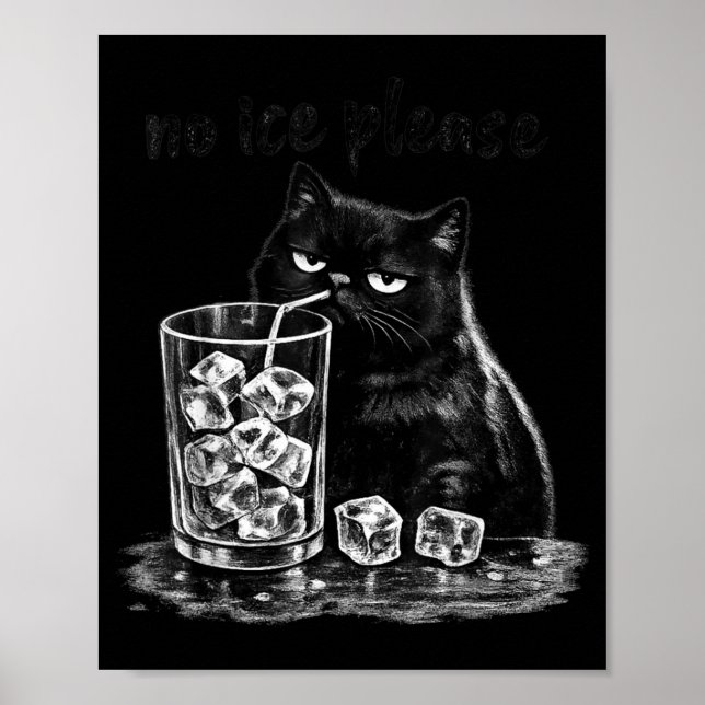 Affiche Pas de glace s'il vous plaît drôle mème de chat vi (Devant)
