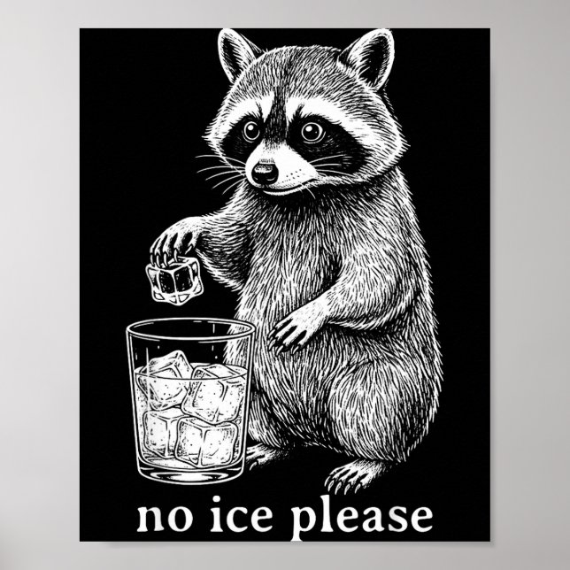 Affiche Pas de glace s'il vous plaît Mème de raton laveur  (Devant)