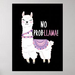 Affiche Pas de problème Llama