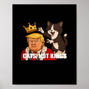Affiche Pas de rois Anti Chats Drôle Style Classique