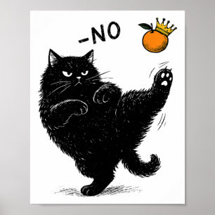Affiche Pas De Rois En Amérique Chat Noir Drôle Mème Polit