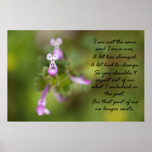 Affiche Pas la même âme