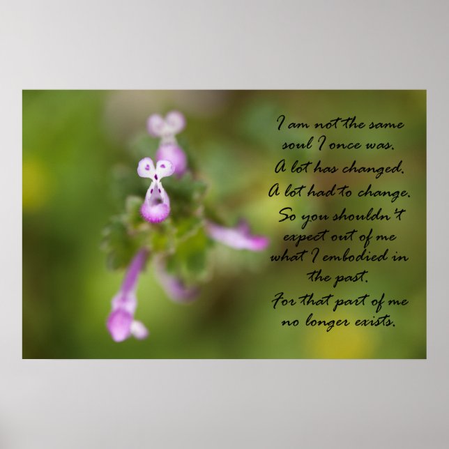 Affiche Pas la même âme (Devant)