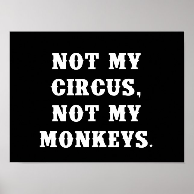 Affiche Pas mon cirque, pas mes singes (Devant)