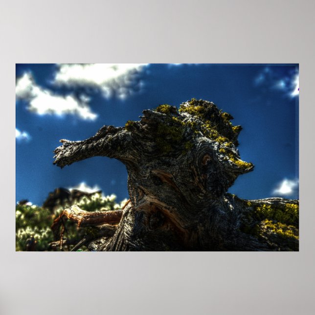 Affiche Pas une chèvre (Devant)