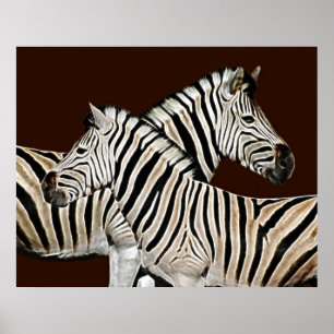 Affiche Passage de Zebra