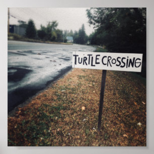 Affiche passage des tortues