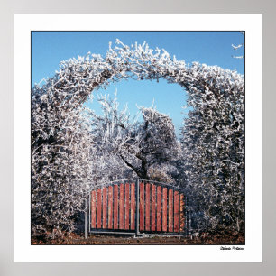 Affiche Passage vers le pays des merveilles d'hiver